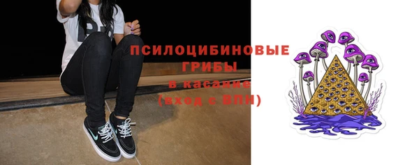 индика Балахна