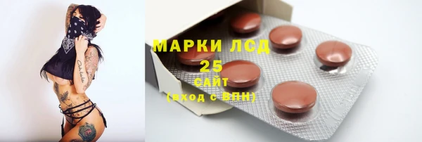 индика Балахна