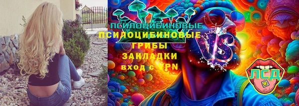 индика Балахна