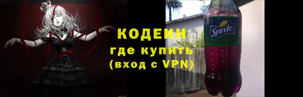 индика Балахна