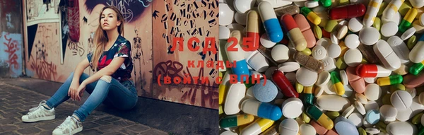 индика Балахна