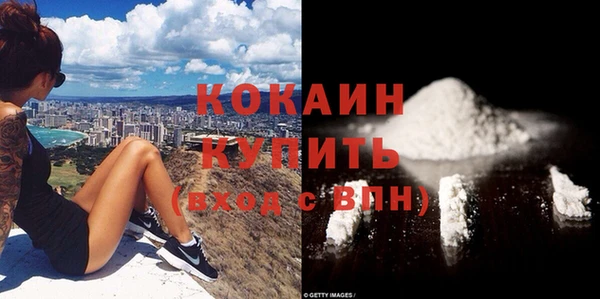 индика Балахна