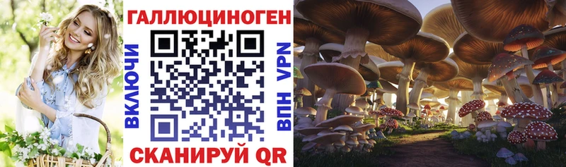 где купить наркотик  Куйбышев  Галлюциногенные грибы Psilocybine cubensis 